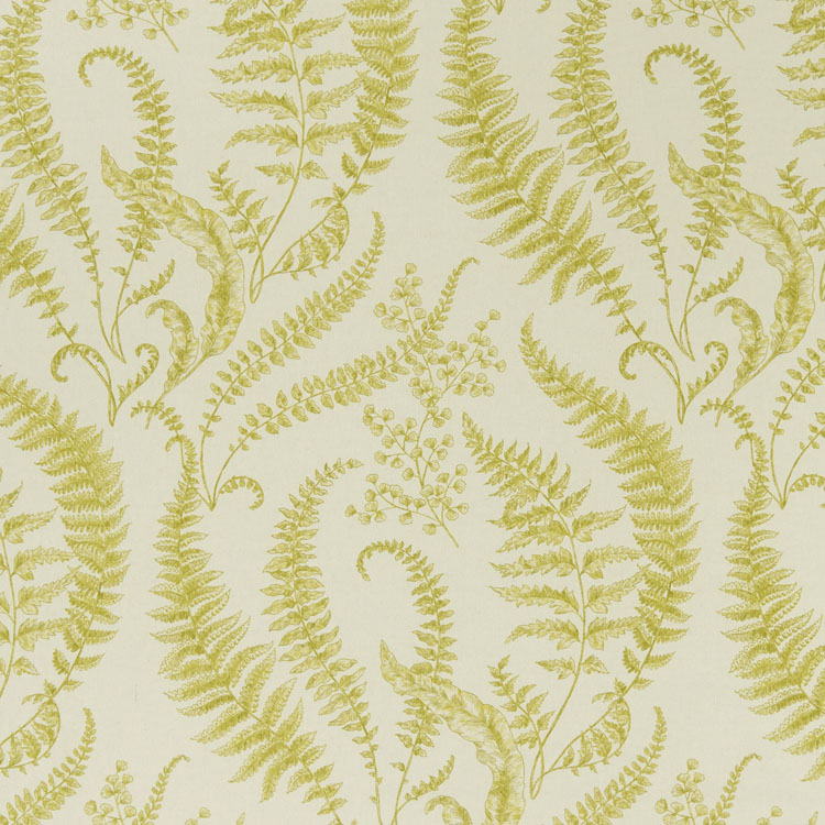 clarke and clarke,folium,eden,chartreuse,made to measure curtains,made to measure blinds,curtains online,blinds online,blackout curtains,blackout blinds,fabric shop,bespoke curtains,bespoke blinds,curtains online,blinds online,made to measure roman blinds